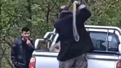 kopege halatla siddet uygulayan sahis gozaltina alindi s4vItAH1