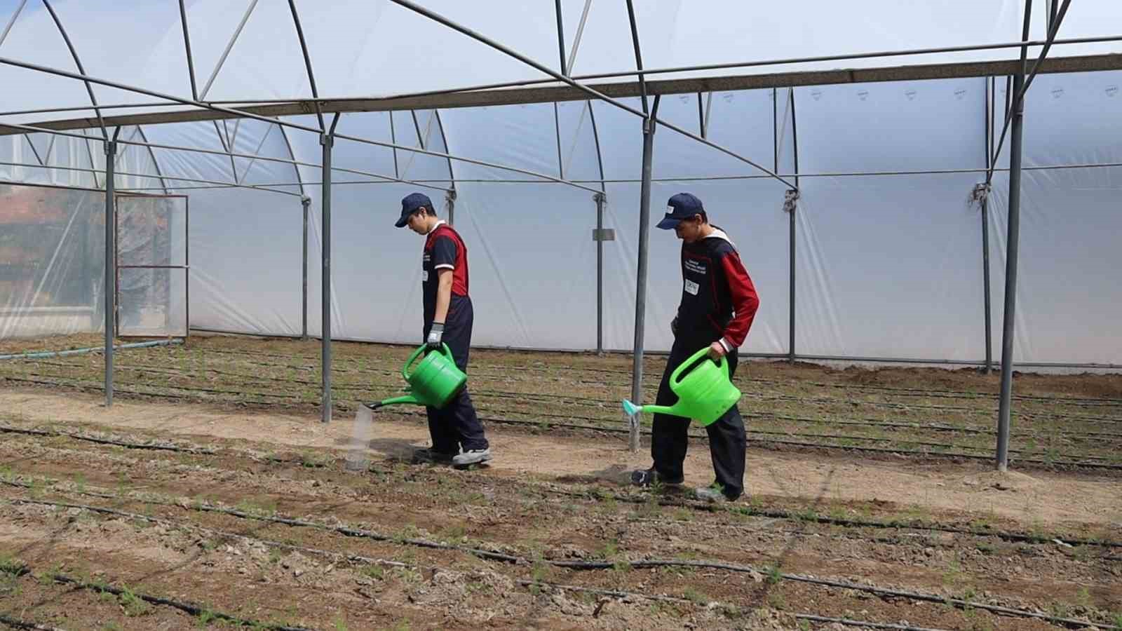okul bahcesinde kurulan serada ogretmen ve ogrenciler kuskonmaz yetistirecek J1klVbHq