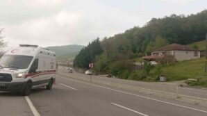 otomobil tarlaya uctu dede ve iki torunu yaralandi R3d6qhlB