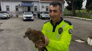 polisin buldugu yarali halde buldugu dogan koruma altina alindi X6AsLtGA