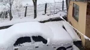 sinopta nisan kari hayati olumsuz etkiledi 9yBGWzjV