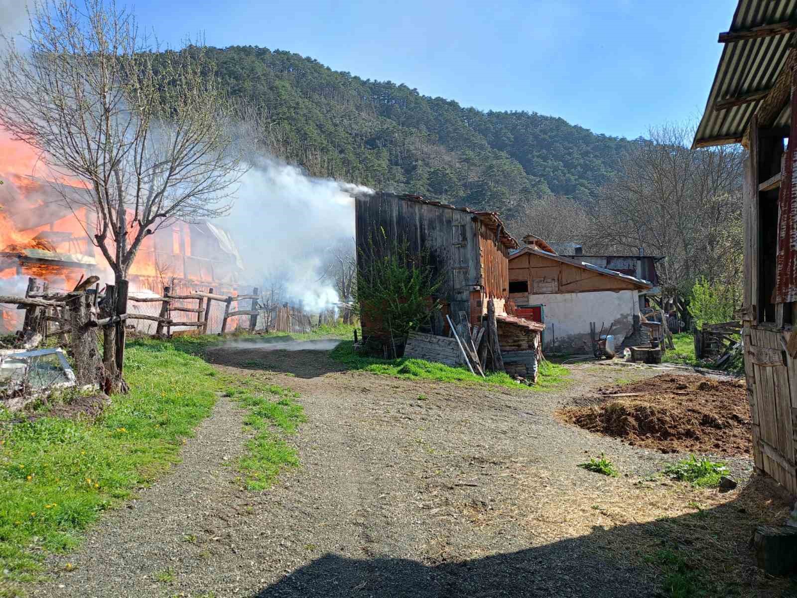 sobadan cikan yangin evi kule cevirdi nnYvATNb