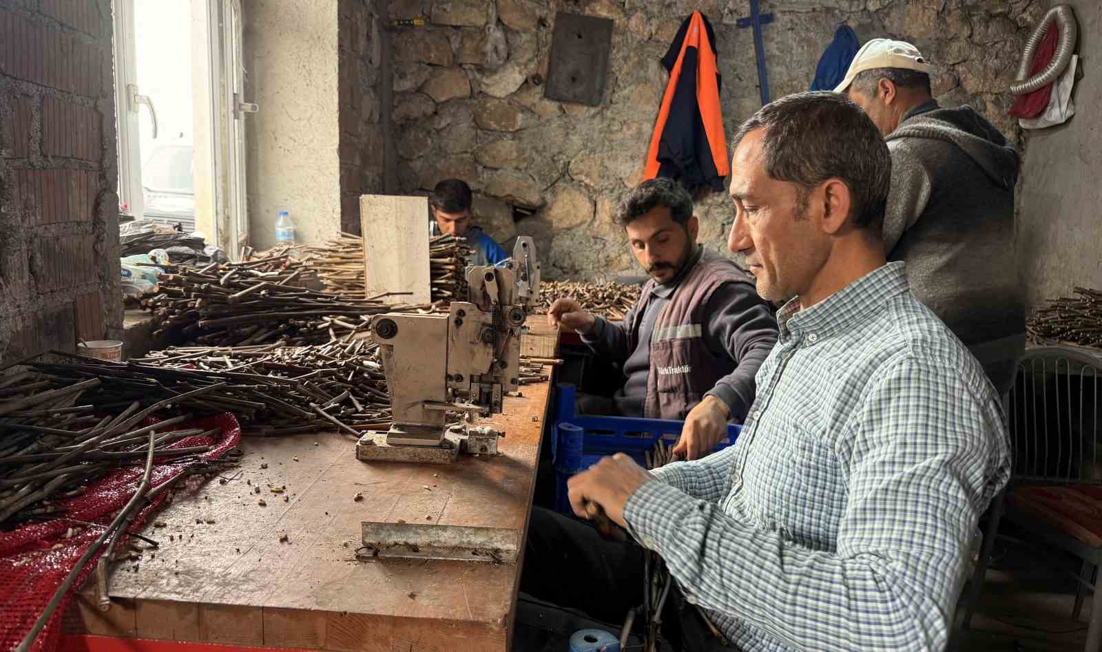 tokatta uretilen narenciye uzumu fideleri 35 ile gonderiliyor