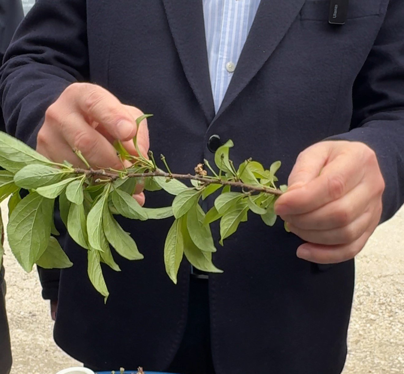 tokatta zirai don sonrasi hasar tespit calismalari basladi TFyqG7P9