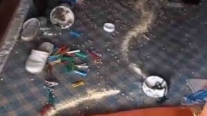 trabzonlu vatandastan koy evine giren ayiya komik sitem 4Wg5kZ4d