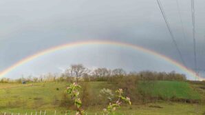 yagmurun ardindan doga adeta tabloya donustu H25UnpZs