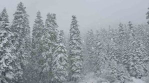 yuksek kesimlerde arazi araclariyla kar keyfini yasadilar lAjarw4s