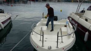 yunuslarin gorsel soleni heyecanlandirdi TqswfAGU