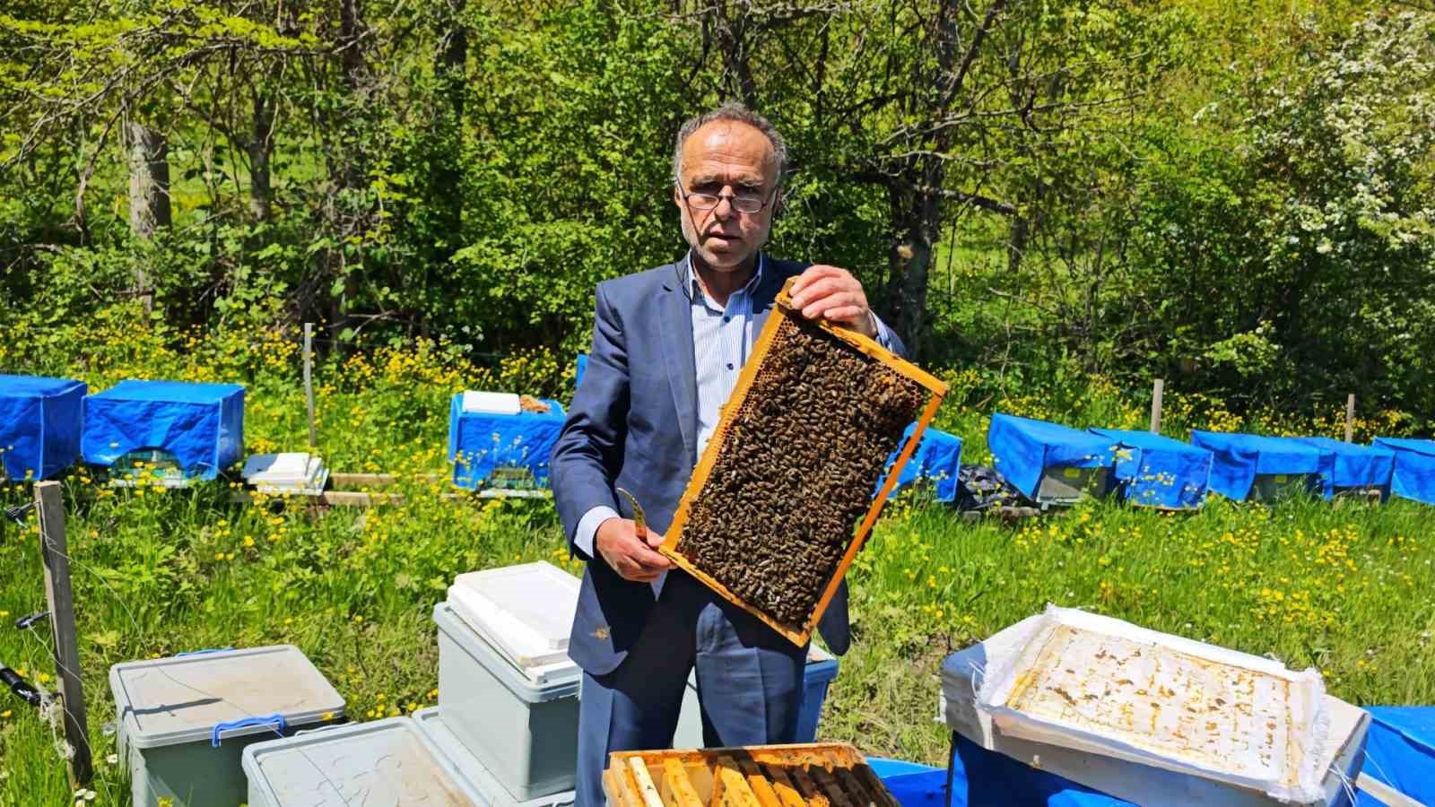 zirai don artvinde ariciligi vurdu bu sezon bal uretiminde yuzde 60a varan kayip bekleniyor O1r8vKjO