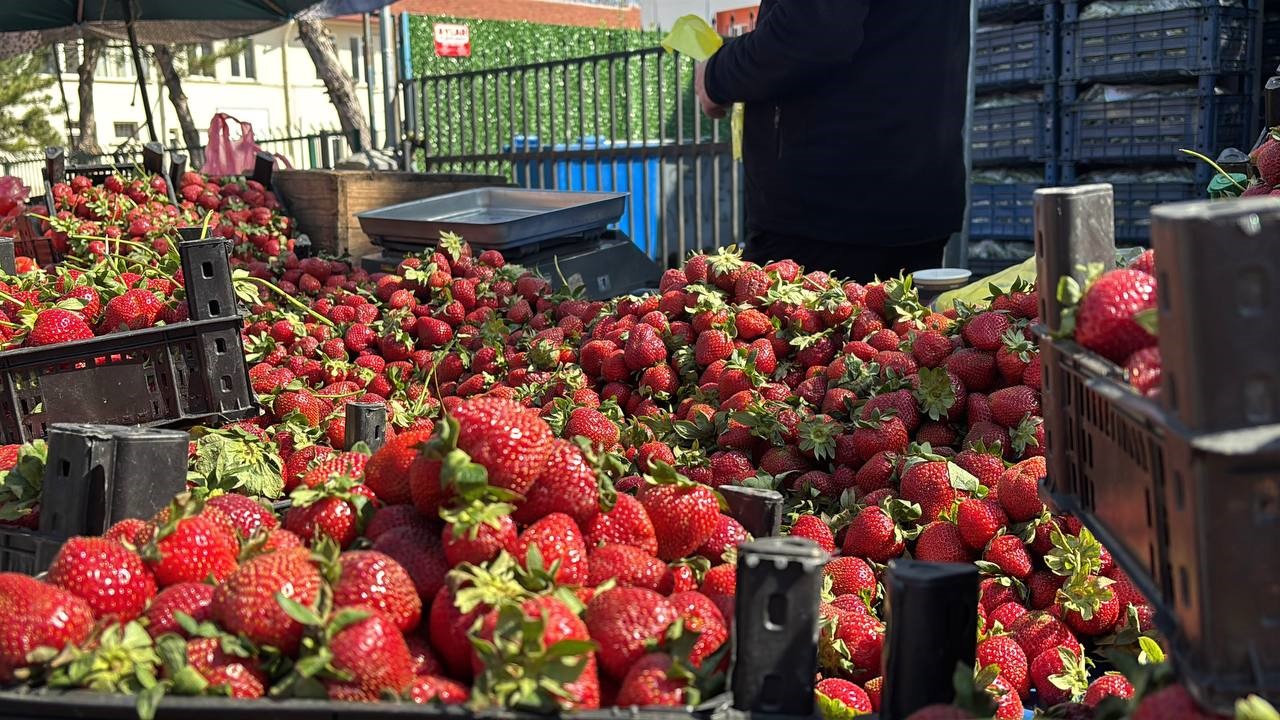 zirai donun ardindan pazarda cilek bollugu gpc3ASnT