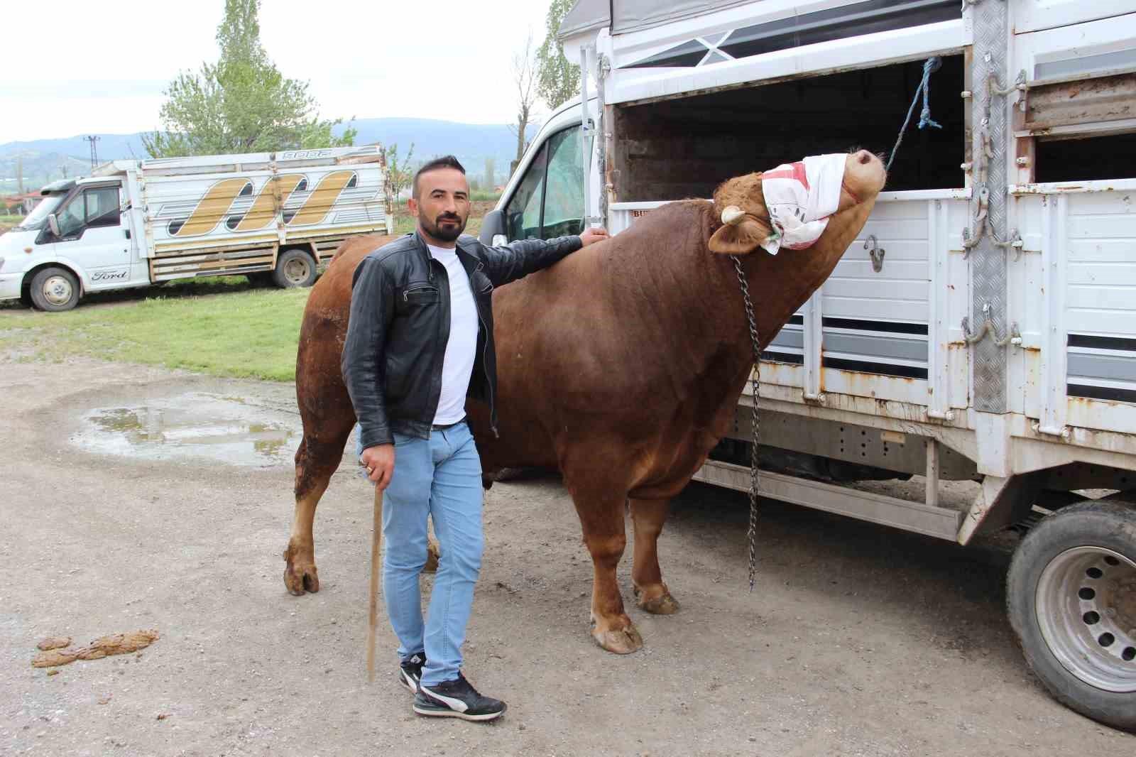 1 ton 150 kilogram agirligindaki pasa 380 bin tlye alicisini bekliyor WGVzJlks