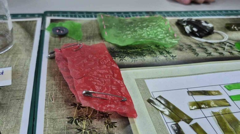 10 yasindaki ravzadan kekik ozlu biyokumas xpXJVg9h