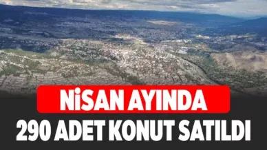 KONUT
