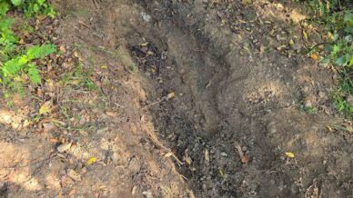 ailesinin kayip ihbari cinayeti ortaya cikardi 2jvkslvO