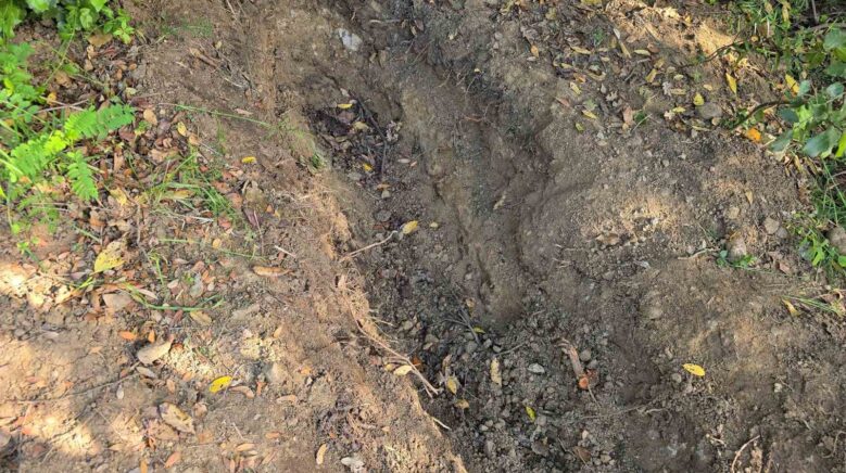 ailesinin kayip ihbari cinayeti ortaya cikardi 2jvkslvO