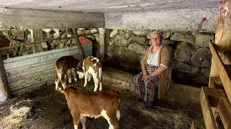 artvinde bir inek dorduz dogurdu aile buyuk sevinc yasadi iQJxLYB8