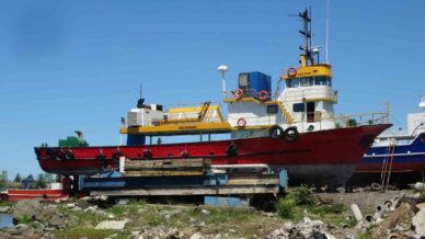 balik av sezonu bitti onlarin sezonu basladi 7A39RSwE