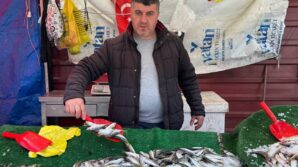 balik sezonu bitmesine ragmen tezgahlarda hareketlilik suruyor vqlQidFm