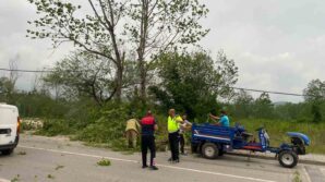 bartinda siddetli firtinada agaclar devrildi hFQketkH
