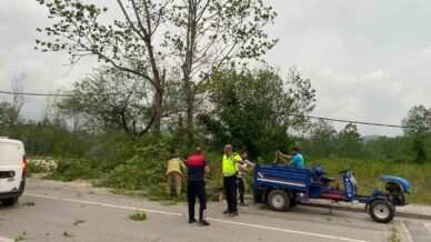 bartinda siddetli firtinada agaclar devrildi hFQketkH
