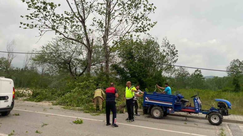 bartinda siddetli firtinada agaclar devrildi hFQketkH