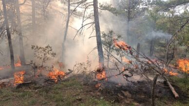 boluda ormanlik alana dusen yildirim yangina neden oldu BuZttX9j