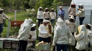 bolunun dort bir yanindan ari kursuna yogun ilgi l9gNCLaW