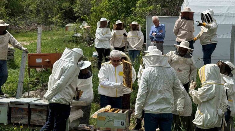 bolunun dort bir yanindan ari kursuna yogun ilgi l9gNCLaW