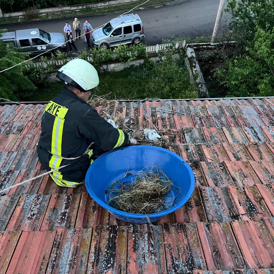 catida mahsur kalan yavru leylekler itfaiye tarafindan kurtarildi 7FUFXLJR