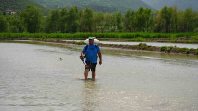 ciftcilerin zorlu celtik mesaisi dize ulasan suyun icinde ekim yapiyorlar DFC2V9QO