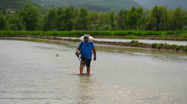ciftcilerin zorlu celtik mesaisi dize ulasan suyun icinde ekim yapiyorlar DFC2V9QO