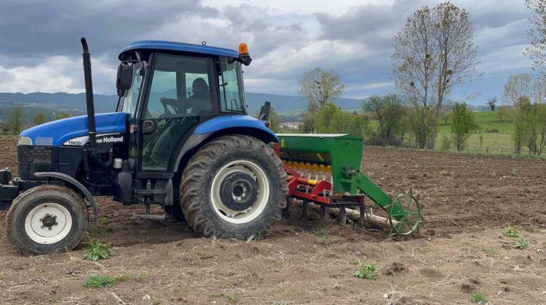 colyak hastalarinin vazgecilmezi karabugday toprakla bulustu LbK4Lu94