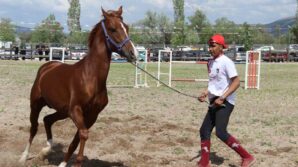 corumda atlar guzellikleriyle yaristi iOIJRyTc
