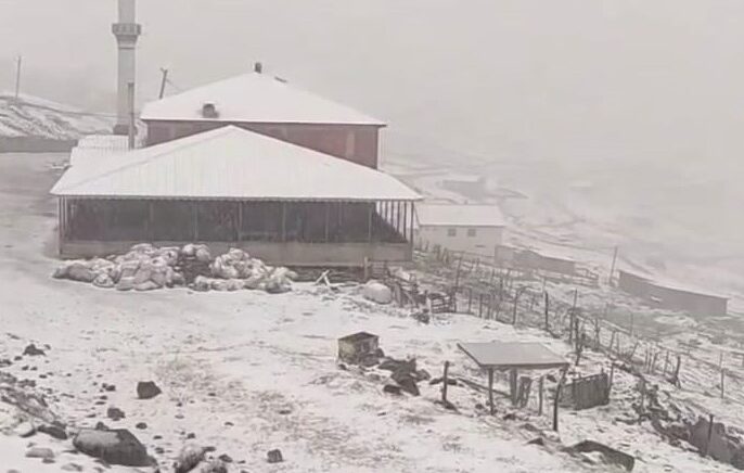 dogu karadeniz yaylalarinda kis bitmiyor Uj7NfyuY