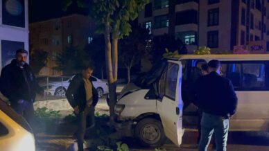 dur ihtarina uymayan ehliyetsiz surucunun kullandigi arac agaca carpti 38 bin tl ceza yedi 8RV8RKwA