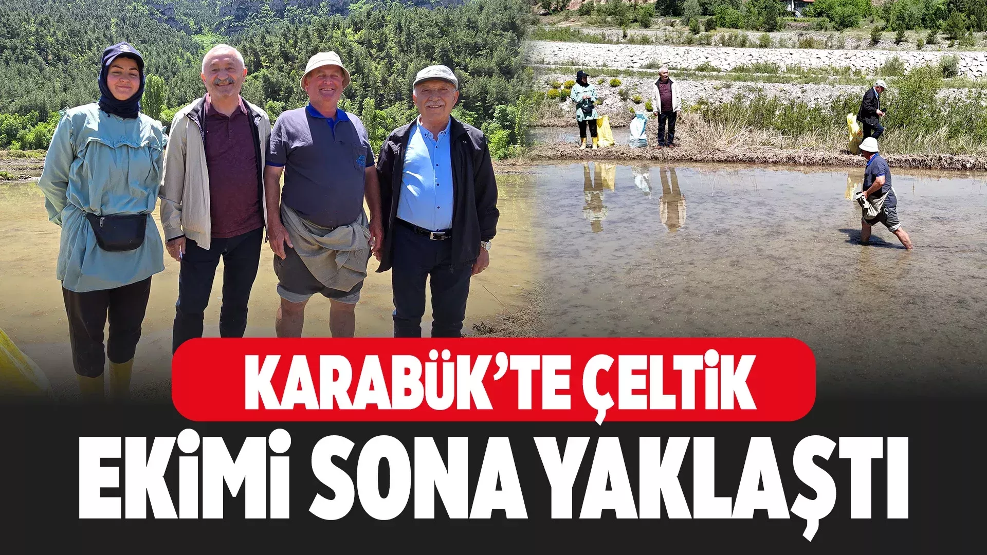 ekim