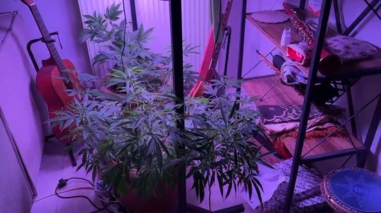 evin icinde kenevir serasi ele gecirildi shFI7sfX