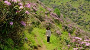 gumushaneli dagcilardan sis dagina yuruyus zZtKvhZu