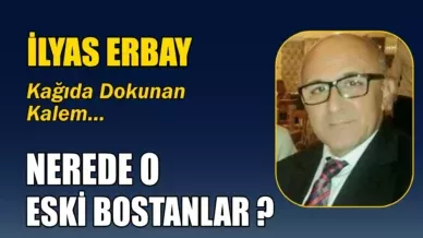 ilyas erbay kose 2