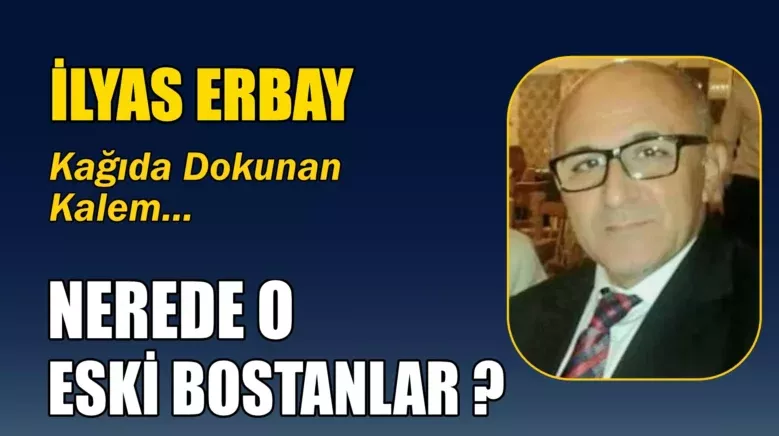 ilyas erbay kose 2