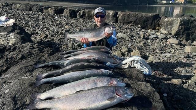 kafesten kactilar ama oltadan kacamadilar OOT3tIGA