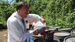 kahverengi kokarcaya sivi balik gubreli onlem XH3HhwBW