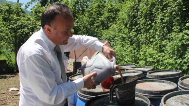 kahverengi kokarcaya sivi balik gubreli onlem XH3HhwBW