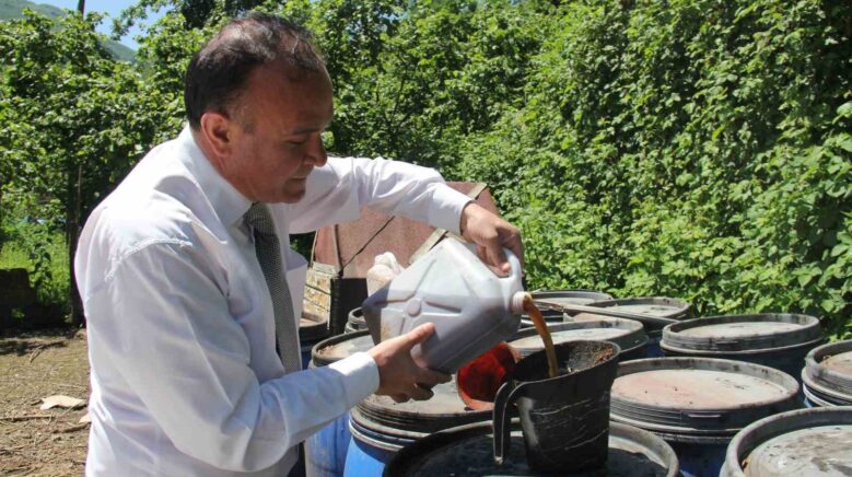 kahverengi kokarcaya sivi balik gubreli onlem XH3HhwBW