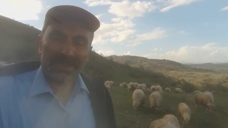 kangallardan korkan ayi agaca tirmandi 5fVPakLL