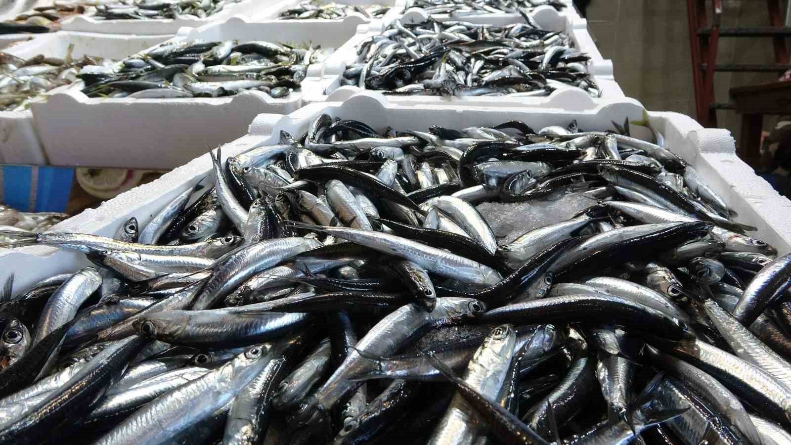 karadenizde balik stoklari azaliyor fbFnLz6X