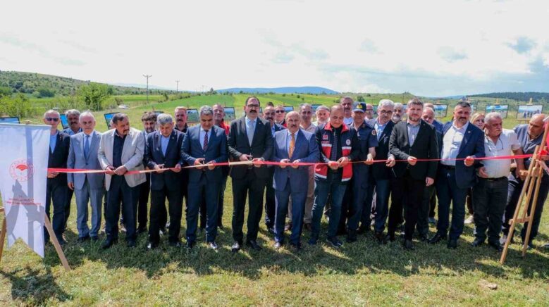 kastamonuda 4 yillik calismayla 483 dekar mera alani olusturuldu rs3XBpNJ