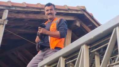 kastamonuda evin catisinda mahsur kalan kediyi itfaiye ekipleri kurtardi TENgDgfi