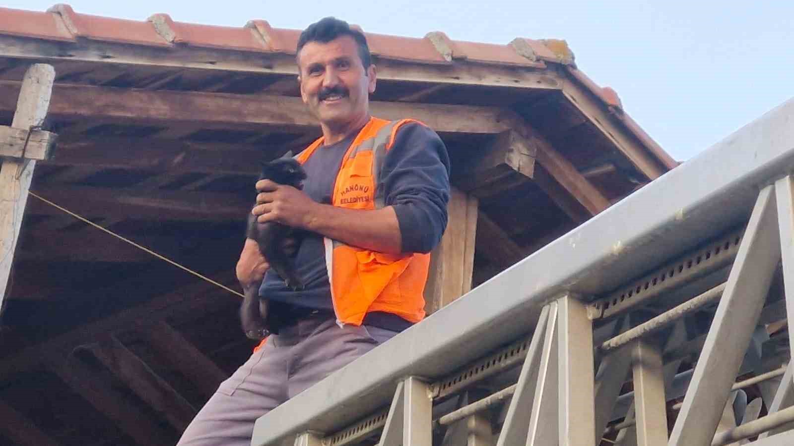 kastamonuda evin catisinda mahsur kalan kediyi itfaiye ekipleri kurtardi TENgDgfi