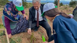 kastamonuda huzurevi sakinleri ile sevgi evinde kalan cocuklar fidan dikti RdvP8cq6